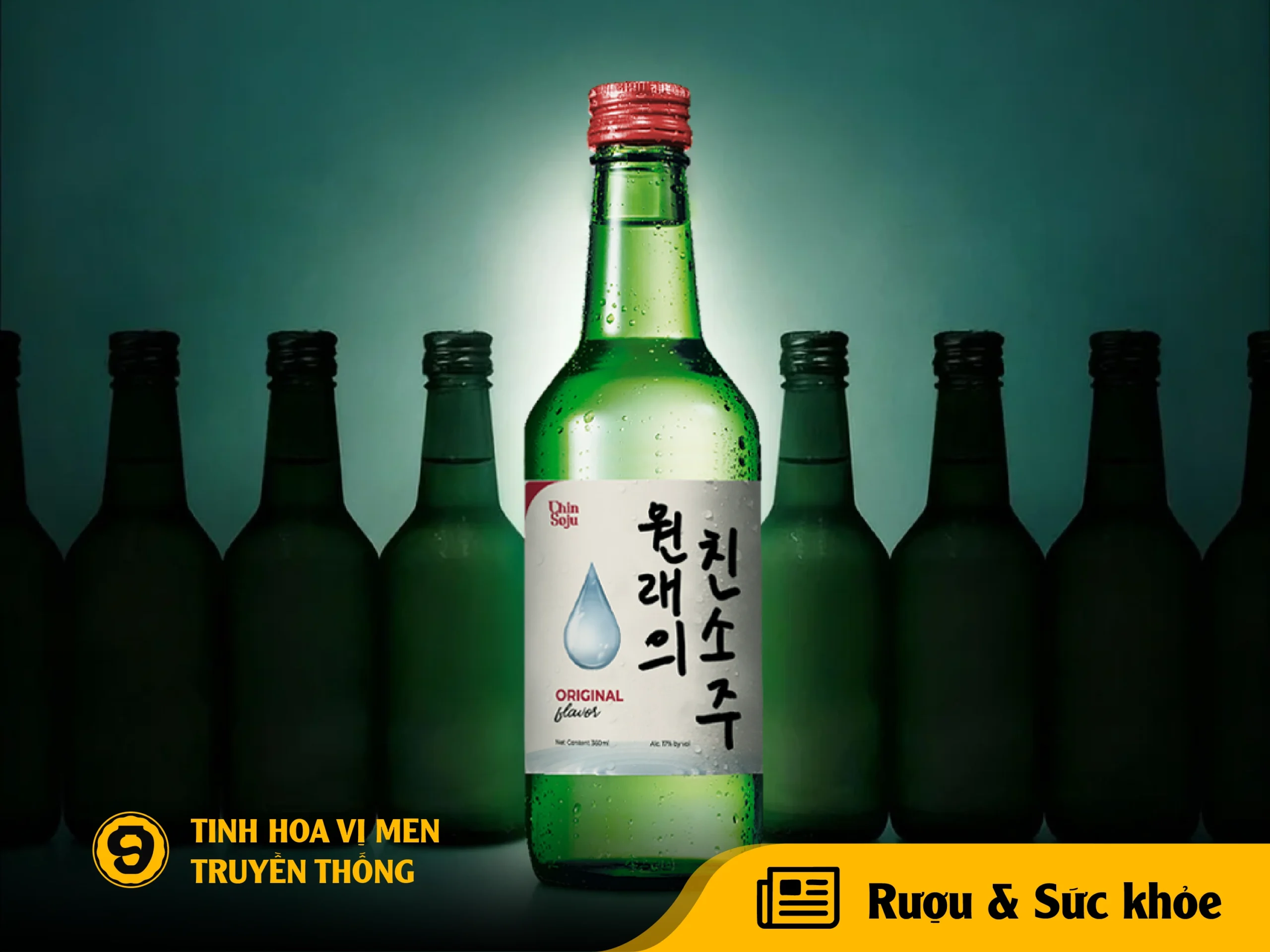 Quá trình hấp thu rượu xảy ra thế nào? 9Chum