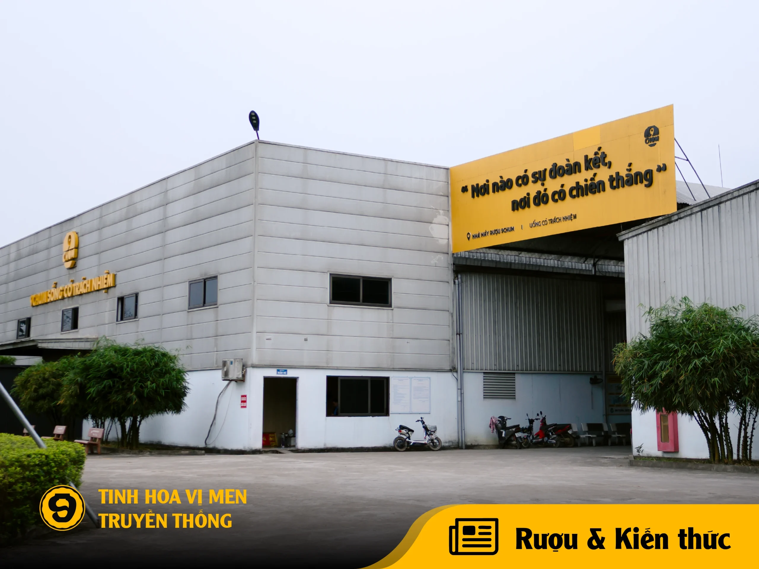 9Chum - Hành trình đưa rượu truyền thống Việt vươn ra thế giới