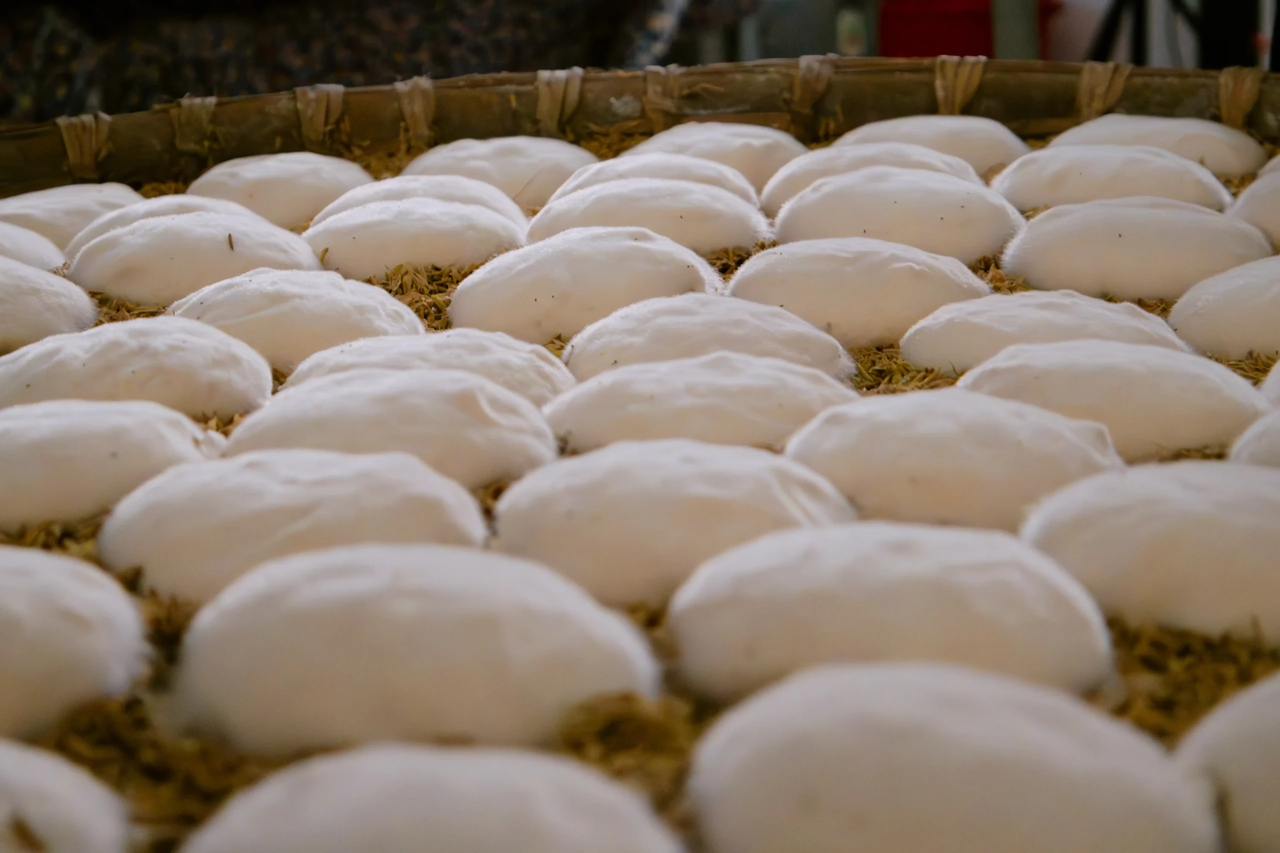 ruou-nep-cai-hoa-vang-dac-san-tien-vua-va-cach-nhan-biet