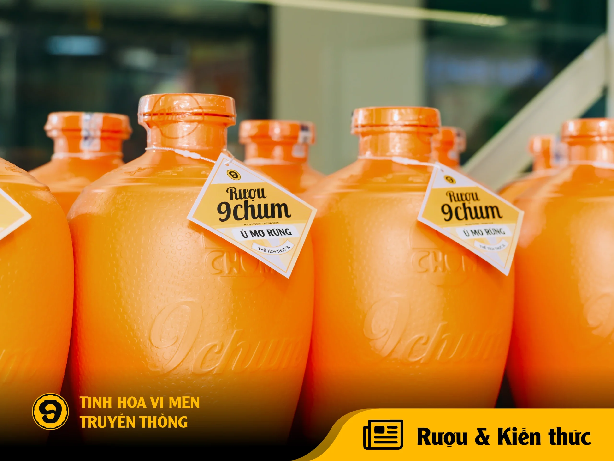 mua-ruou-mo-rung-o-dau-uy-tin-5-tieu-chi-chon