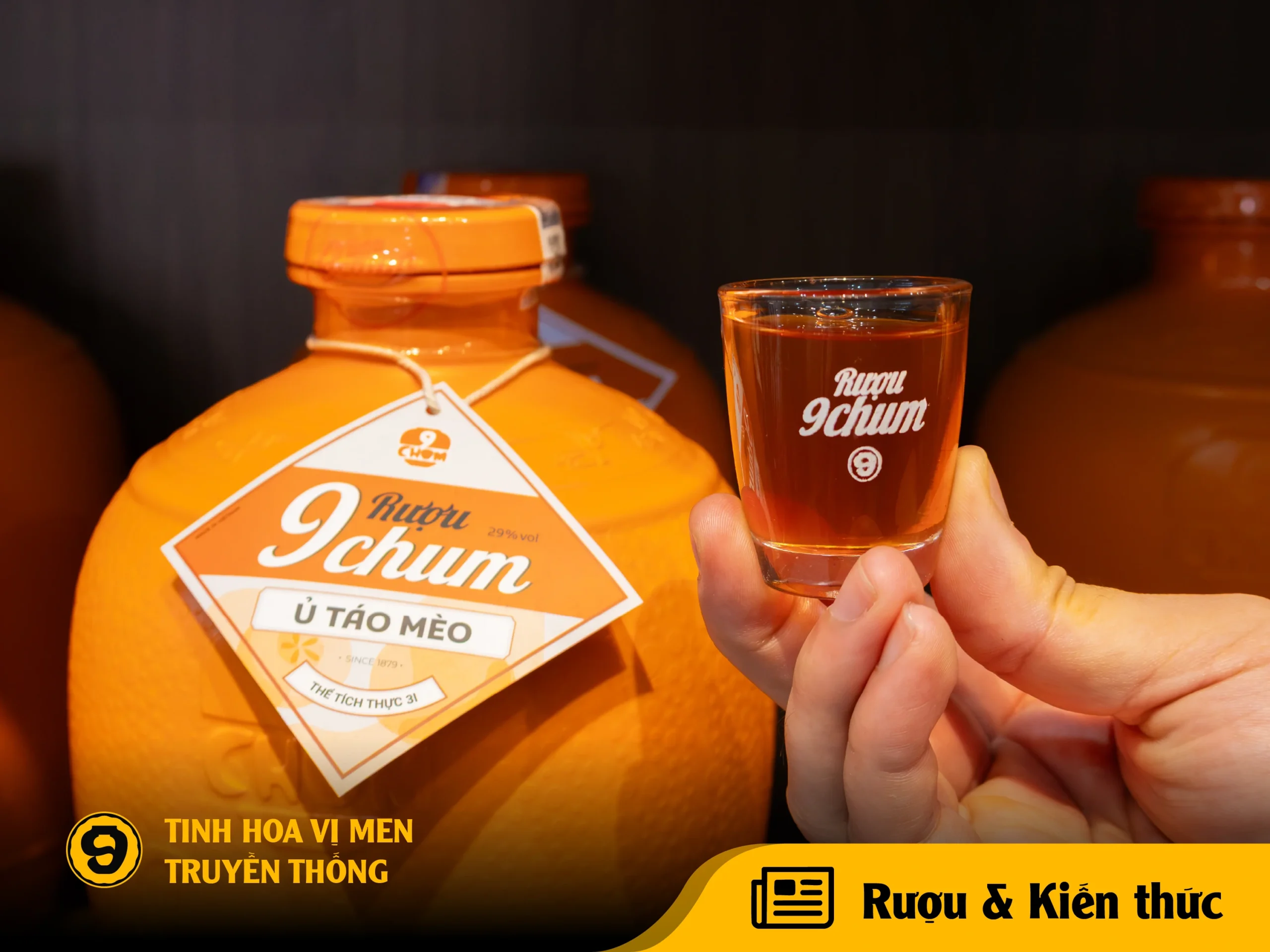 Rượu táo mèo có vị gì? Phân biệt chua, chát và hậu vị